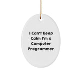 Funny Computer Programmer Oval Ornament Gifts for Him from Friends, Unique Christmas Unique Gifts for Men, Oval Shaped Computer Programmer Decorative Item - Image 1